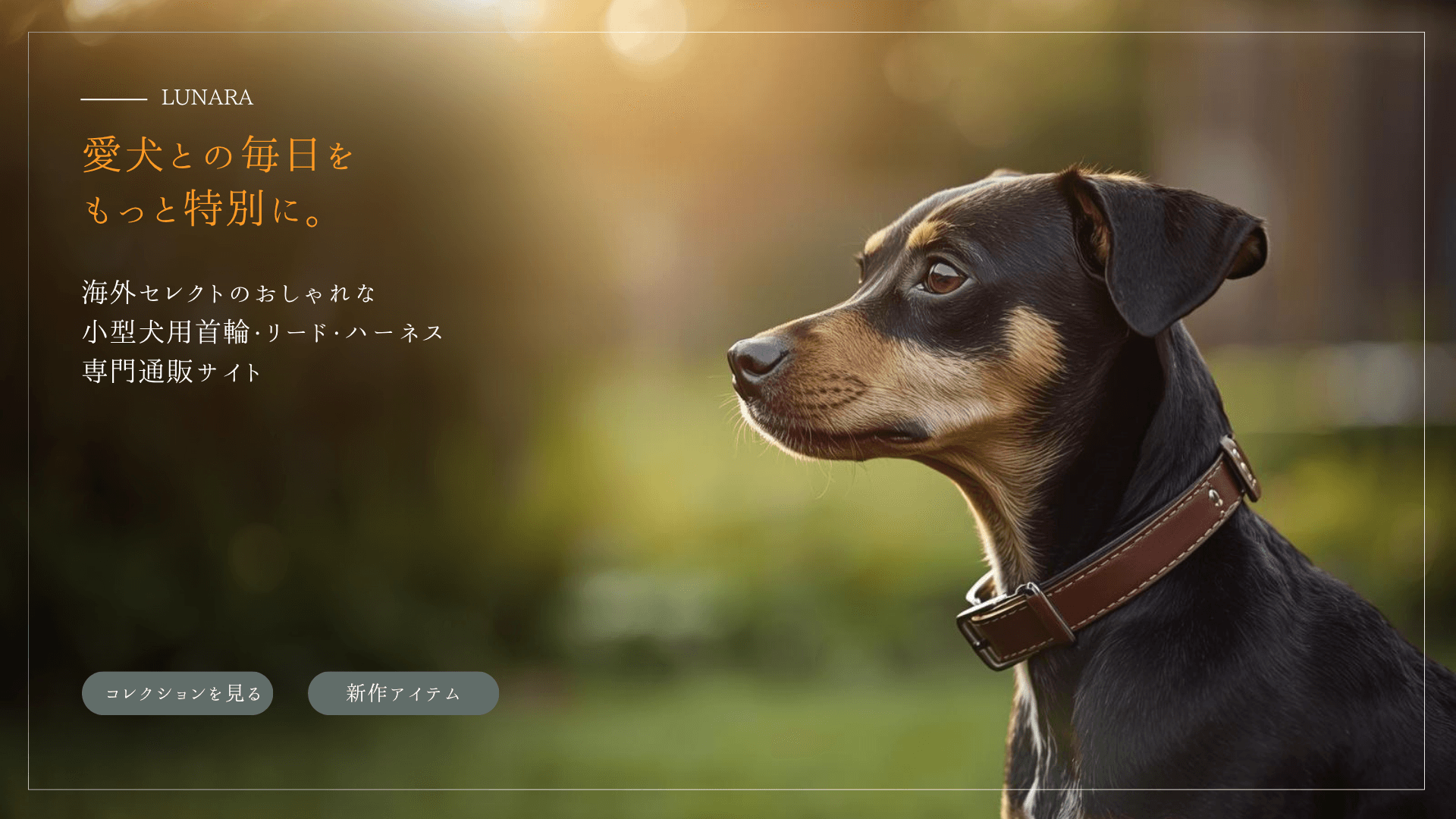 おしゃれな小型犬用首輪