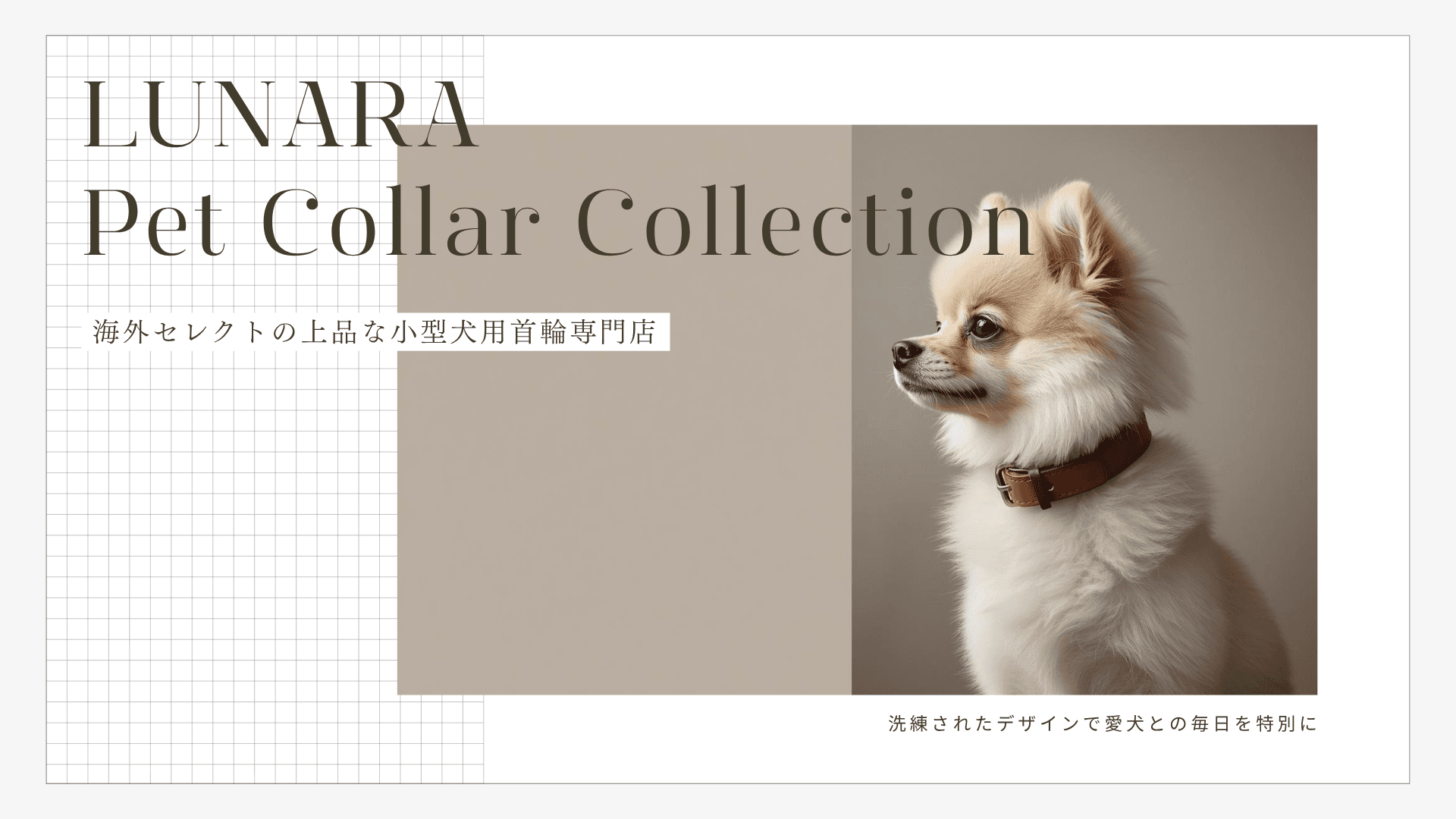 おしゃれな小型犬用首輪